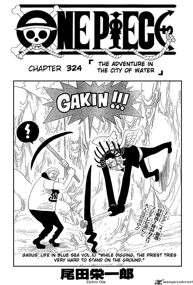 One Piece - Chapter 324 Page 1